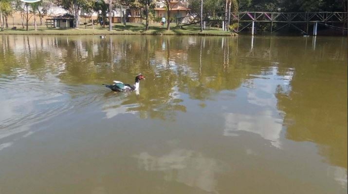 Terreno à venda, 500m² - Foto 20