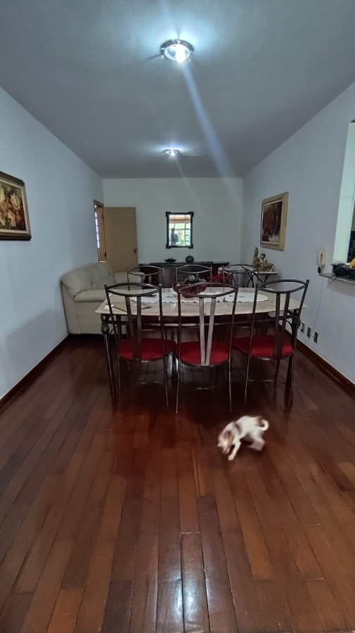 Casa, 5 quartos, 245 m² - Foto 29