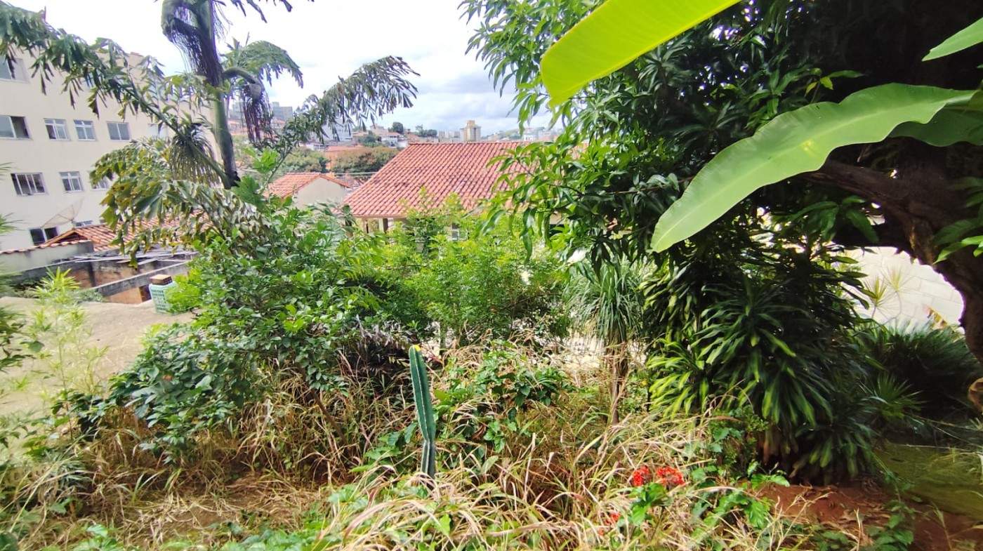 Casa, 5 quartos, 245 m² - Foto 43